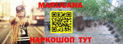 стаф Жуковский